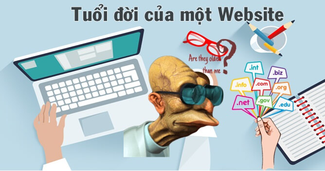 Tuổi của Website